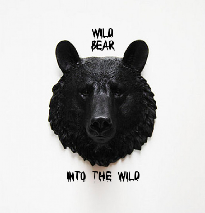 Wild Bear Releases Debut Single, “Glass Ceilings”