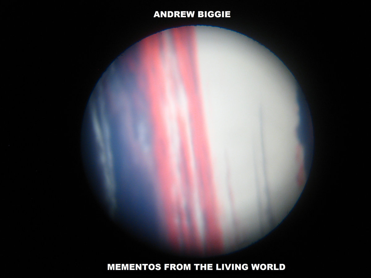 Andrew Biggie – Mementos from the Living World