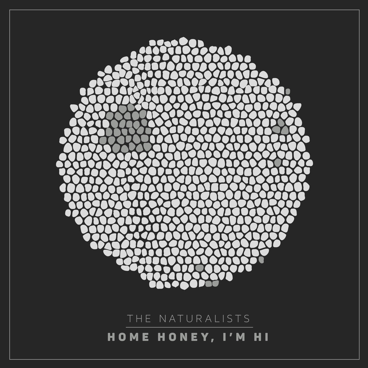The Naturalists – Home Honey, I’m Hi