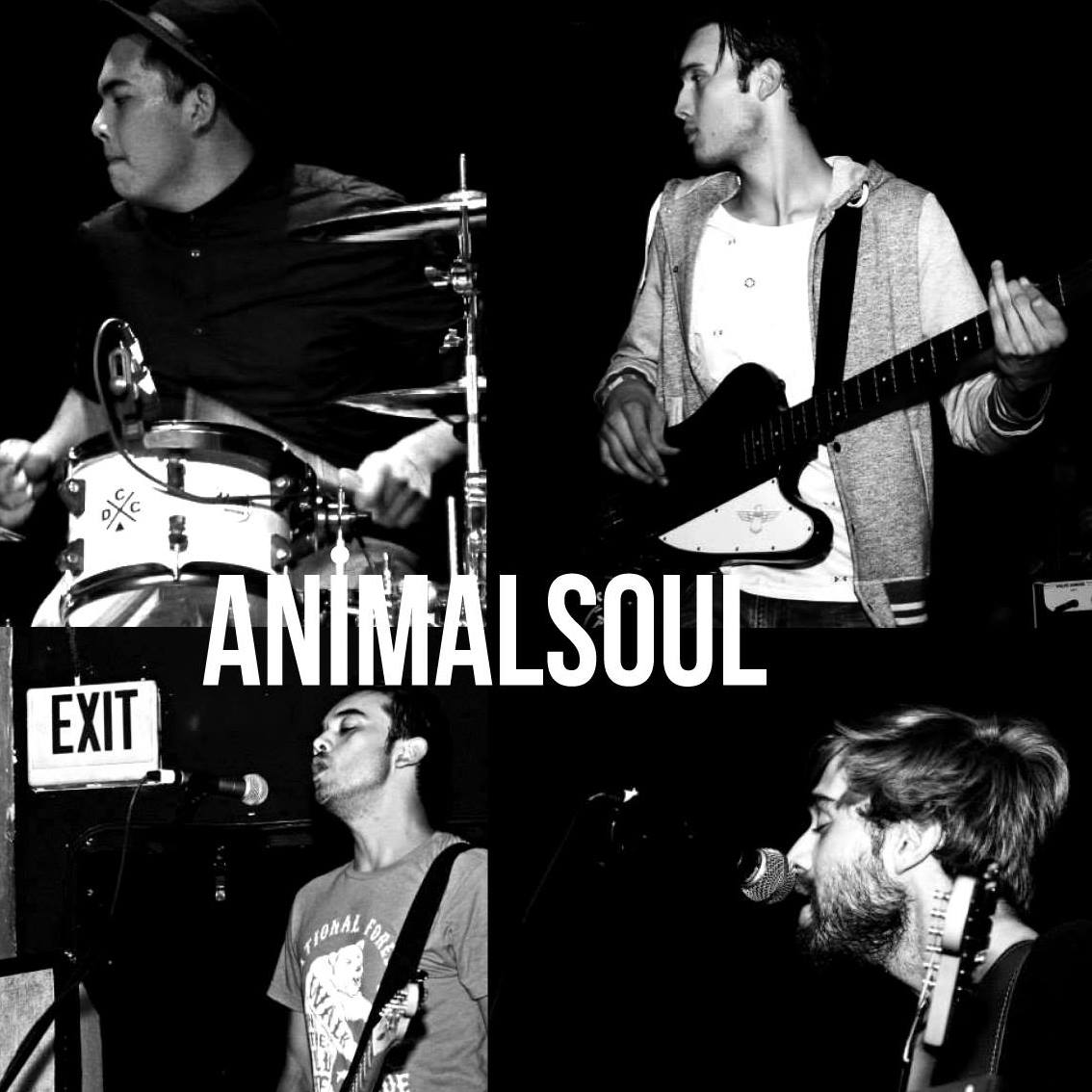 ANiMALSOUL – “Color”