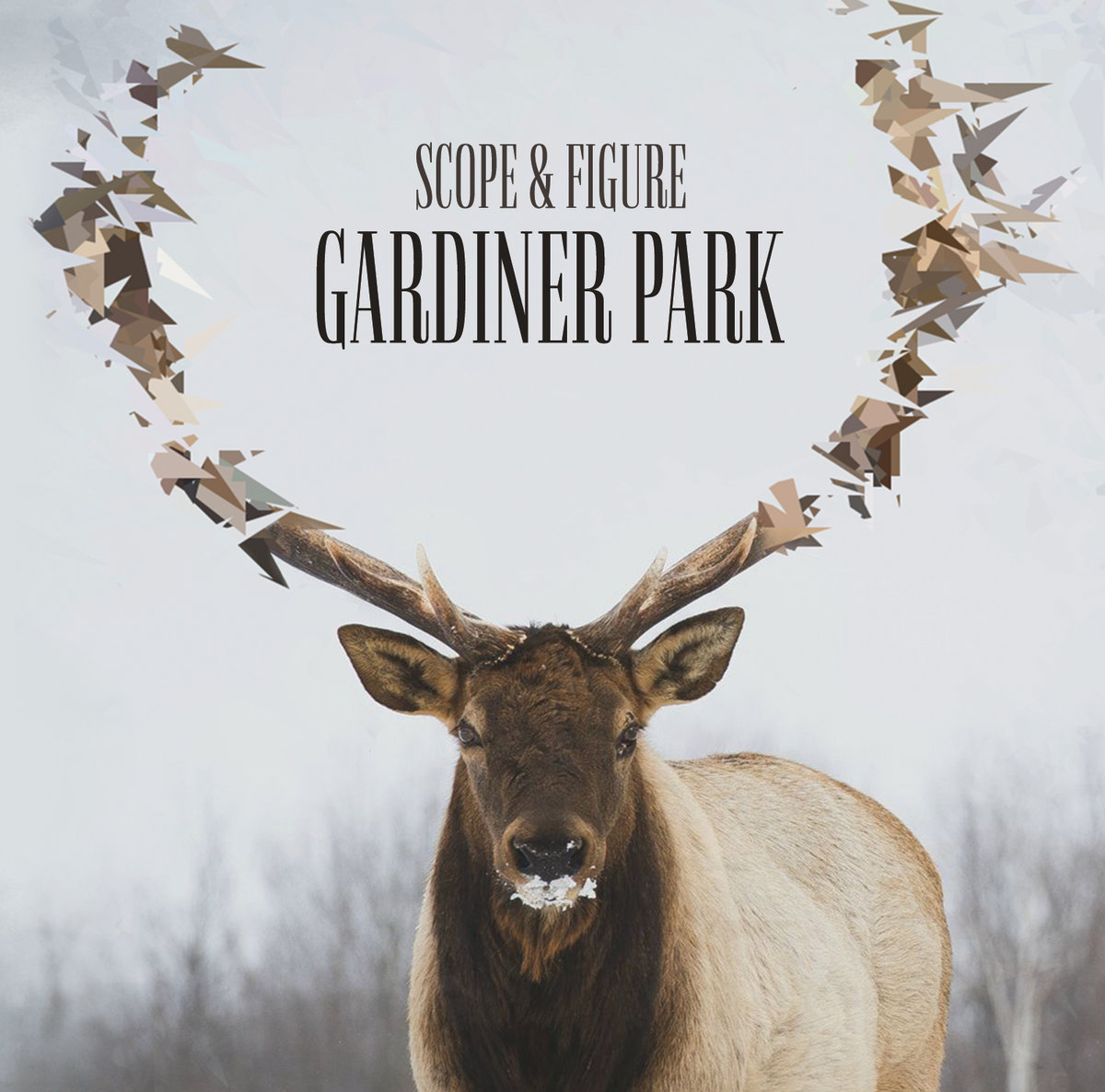 Scope & Figure –  Gardiner Park