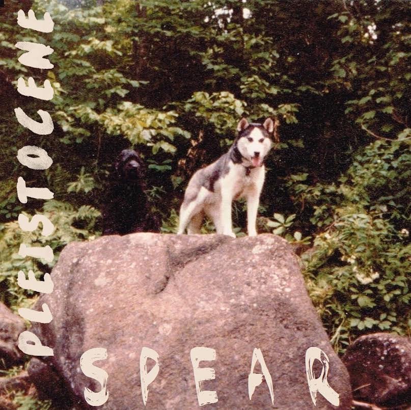 Pleistocene Shares Track from Forthcoming LP  Spear