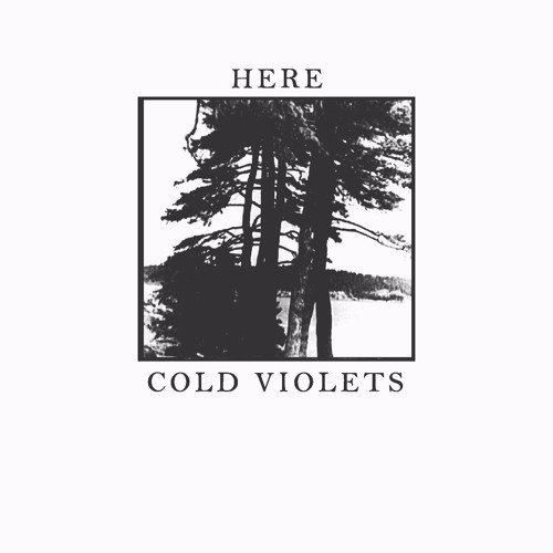 Cold Violets – “Here”