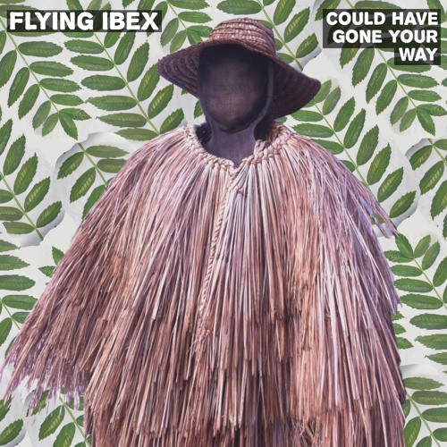 Flying Ibex – “Could Have Gone Your Way”