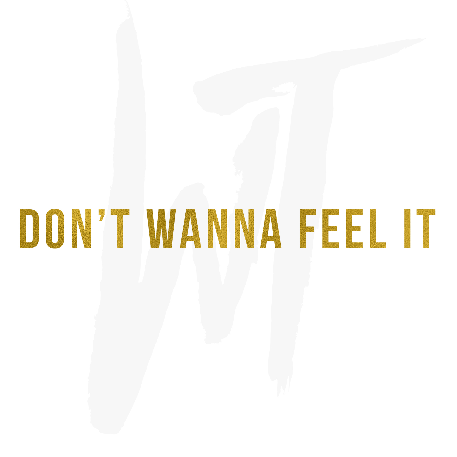 Wild Things Return with “Don’t Wanna Feel It”