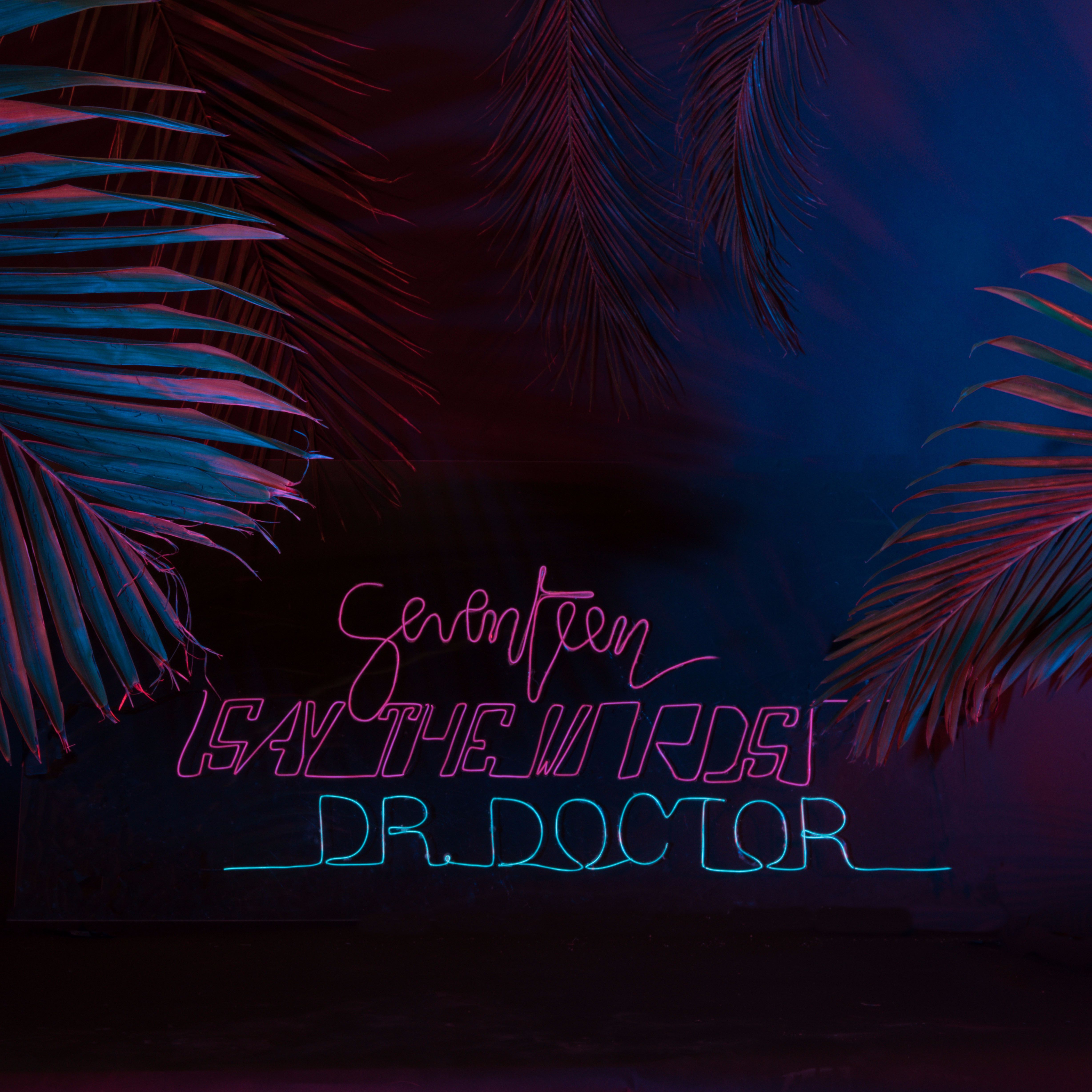 Dr. Doctor – “Seventeen (Say The Words)”