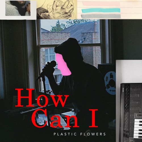 Plastic Flowers – “How Can I”