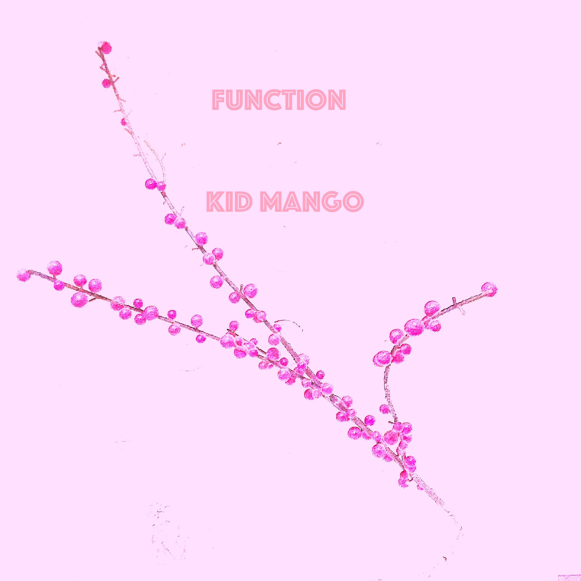 Kid Mango – “Function”