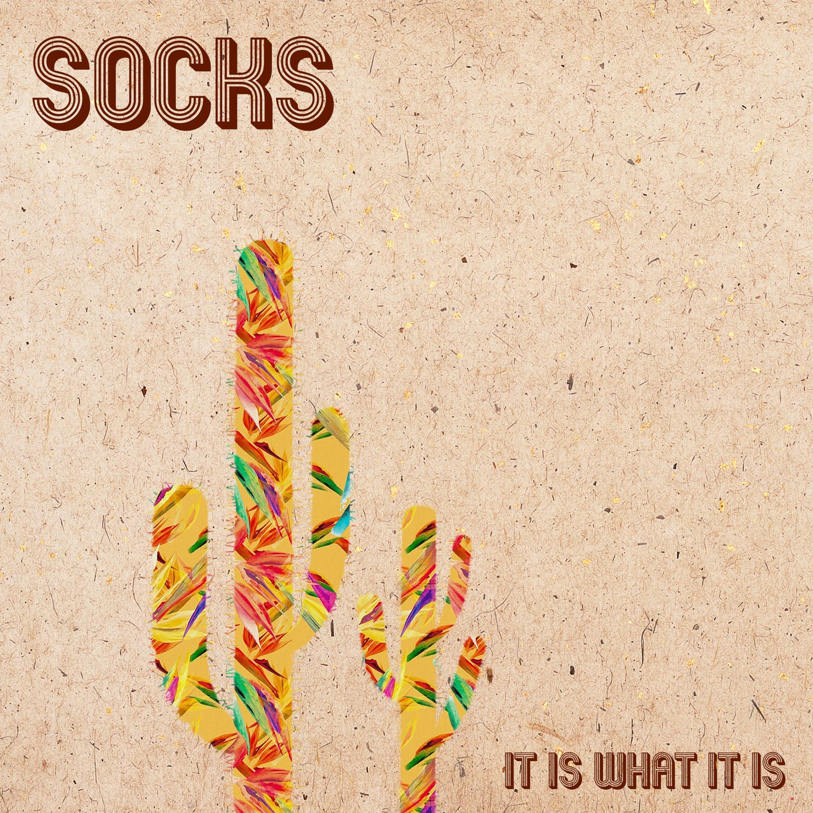 Socks – “Why Not”