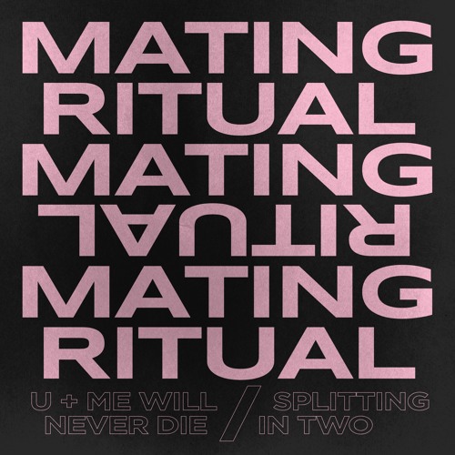 Mating Ritual – “U + Me Will Never Die”