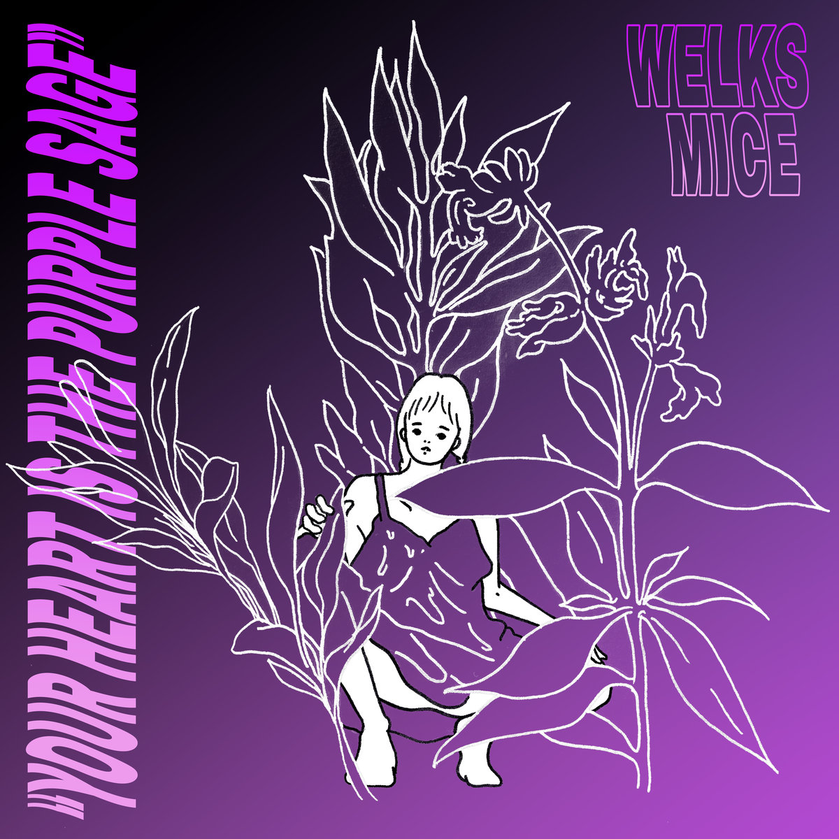 Welks Mice Release New Single “Your Heart is the Purple Sage”