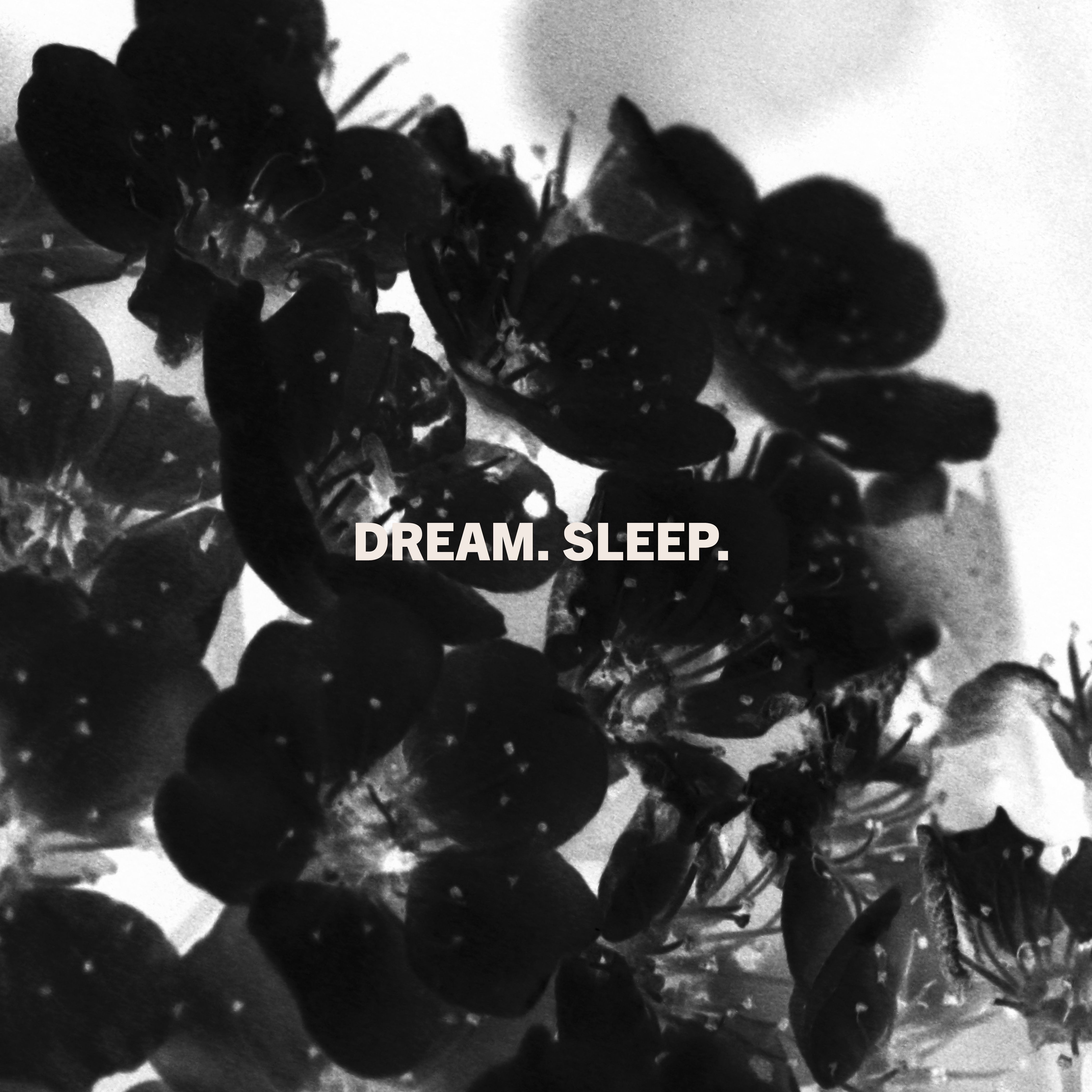 Laveda – “Dream. Sleep.”