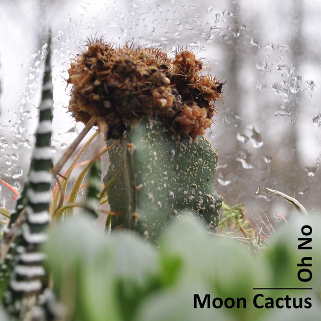 Moon Cactus – “Oh No”