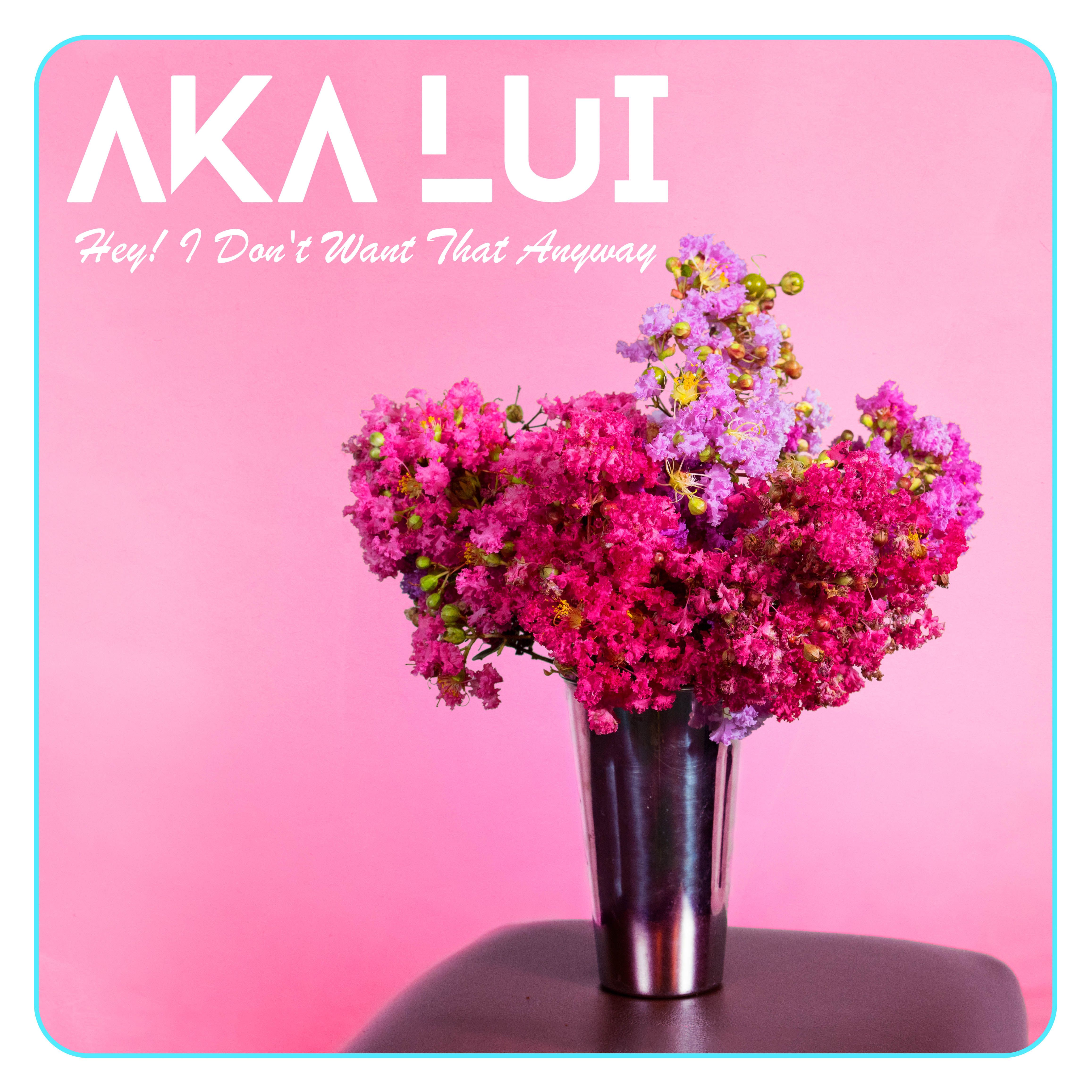 AKA Lui – “I Don’t Want That Anyway”