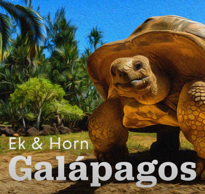 Ek & Horn – “Galápagos”