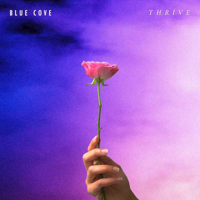 Blue Cove – “Soothe”