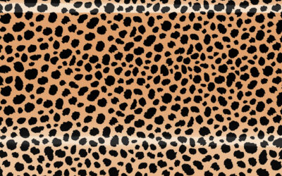 Week Neez – “Shiny Leopard”