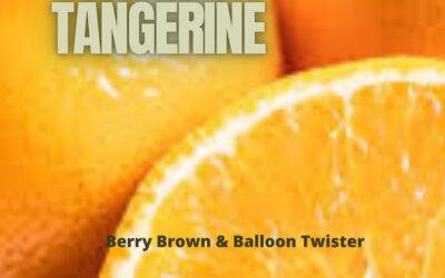 Berry & Balloon Twister – “Dream Tangerine”